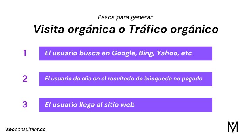 Consultoría SEO: Pasos para generar visitas orgánicas