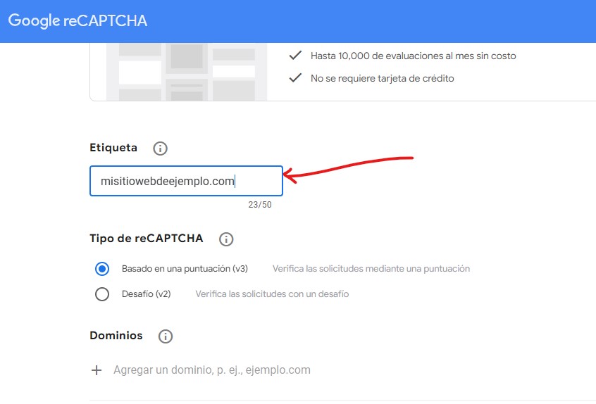 Colocar la etiqueta (nombre) del proyecto reCAPTCHA